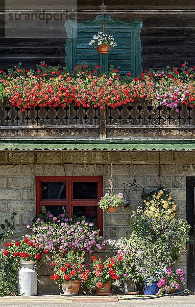 Altes Bauernhaus in Holzbauweise  Balkon mit Geranien (Pelargonium spec.) geschmückt  Blumenschmuck  Piesenkam  Isarwinkel  Oberbayern  Bayern  Deutschland  Europa
