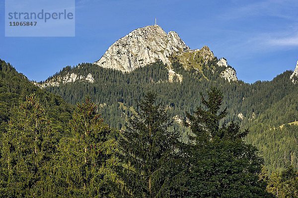 Berg Wendelstein mit Sendeanlage des Bayerischen Rundfunk am Gipfel  Mangfallgebirge  Bayerische Voralpen  Oberbayern  Bayern  Deutschland  Europa