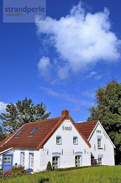 Historische Häuser in Greetsiel  Niedersachsen  Deutschland  Europa