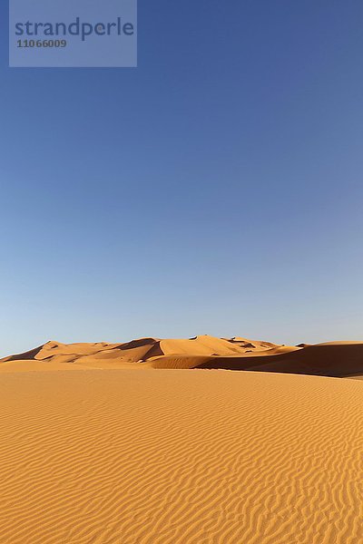 Sanddünen in der Wüste  Erg Chebbi  Merzouga  Sahara  Marokko  Afrika