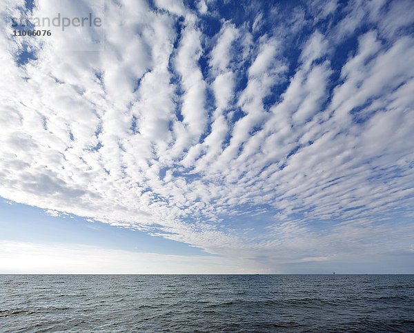 Wolkenformation über der Ostsee  Cirrocumulus  bei Kühlungsborn  Meckenburg-Vorpommern  Deutschland  Europa