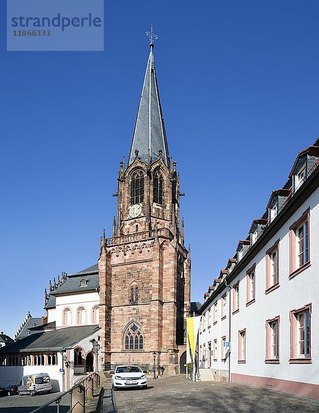Stiftskirche St. Peter und Alexander  Aschaffenburg  Unterfranken  Bayern  Deutschland  Europa