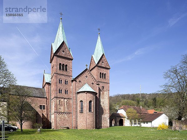 Ehemalige Benediktinerabtei  Pfarrkirche St. Michael und St. Gertrudis  Neustadt am Main  Unterfranken  Bayern  Deutschland  Europa