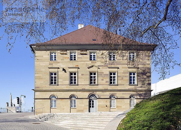 Naturkundliches Museum  Schweinfurt  Unterfranken  Bayern  Deutschland  Europa