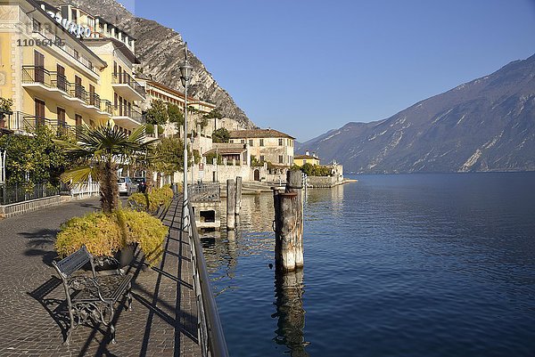 Seepromenade von Limone sul Garda  Gardasee  Provinz Brescia  Lombardei  Italien  Europa