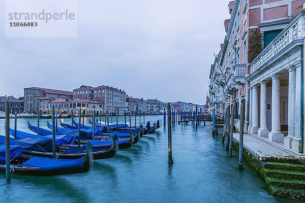 Canal Grande mit blauen Gondeln  Venedig  Italien  Europa