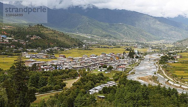 Paro mit Paro-Fluss oder Pa Chu und gelbe Reisfelder  Paro-Tal  Himalaya  Königreich Bhutan