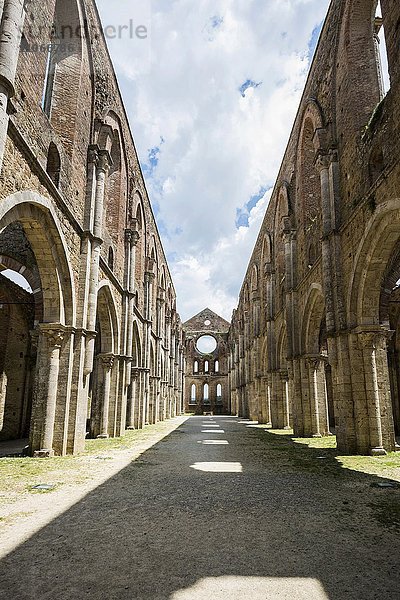 Ruine der Zisterzienser-Abtei Abbazia di San Galgano  Chiusdino  Provinz Siena  Toskana  Italien  Europa
