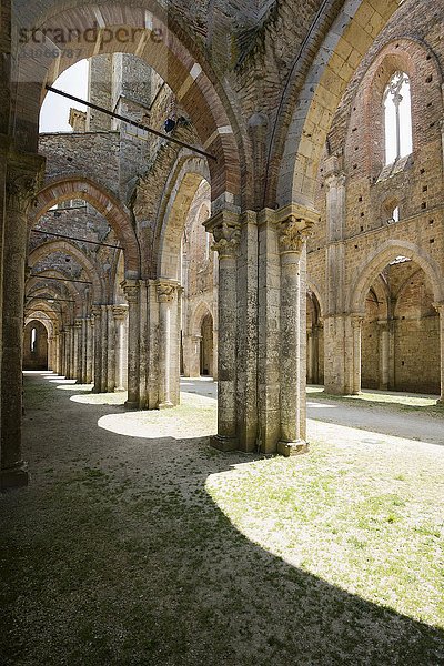 Ruine der Zisterzienser-Abtei Abbazia di San Galgano  Chiusdino  Provinz Siena  Toskana  Italien  Europa