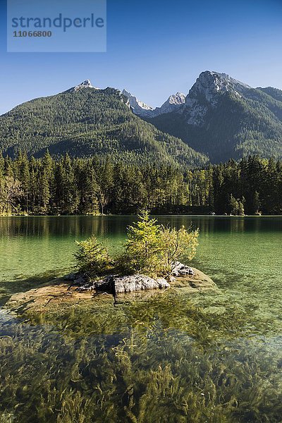 Hintersee  Ramsau  Nationalpark Berchtesgaden  Berchtesgadener Land  Oberbayern  Bayern  Deutschland  Europa