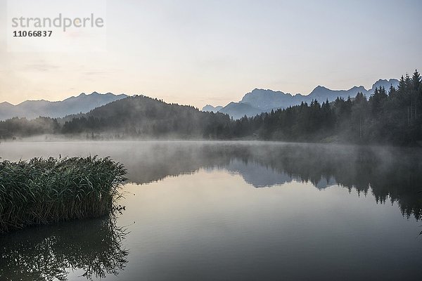 Morgennebel  Geroldsee oder Wagenbrüchsee  hinten Karwendel  Krün bei Mittenwald  Werdenfelser Land  Oberbayern  Bayern  Deutschland  Europa