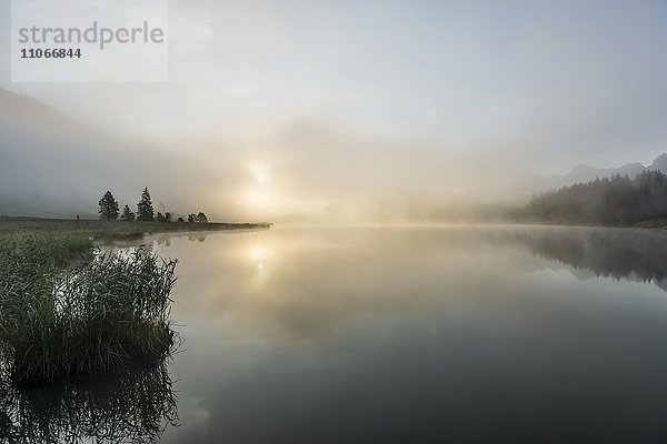 Sonnenaufgang und Morgennebel  Geroldsee oder Wagenbrüchsee  Krün bei Mittenwald  Werdenfelser Land  Oberbayern  Bayern  Deutschland  Europa