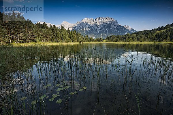 Luttensee  bei Mittenwald  hinten Karwendelgebirge  Werdenfelser Land  Oberbayern  Bayern  Deutschland  Europa