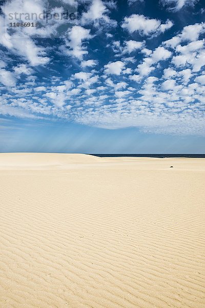 Dünen vor blauem Meer  Naturpark Dünen von Corralejo  Corralejo  Fuerteventura  Kanarische Inseln  Spanien  Europa