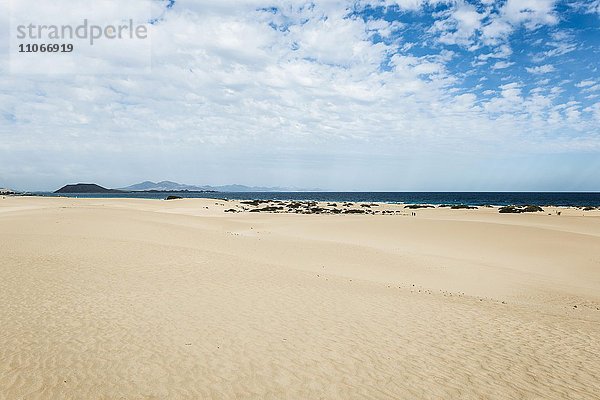 Dünen vor blauem Meer  Naturpark Dünen von Corralejo  Corralejo  Fuerteventura  Kanarische Inseln  Spanien  Europa