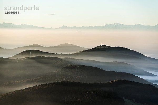 Ausblick vom Belchen Richtung Süden ins Wiesental und auf die Schweizer Alpen  Morgenstimmung mit Nebel  Schwarzwald  Baden-Württemberg  Deutschland  Europa