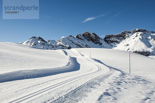 Langlaufloipe und verschneite Winterlandschaft  Melchsee-Frutt  Kanton Obwalden  Schweiz  Europa