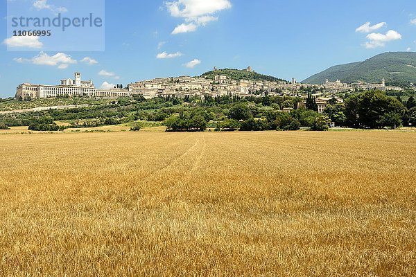 Ortsansicht von Assisi  Umbrien  Italien  Europa