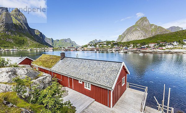 Rotes Haus im Sommer mit Blick auf Fjord  Fischerdorf Reine  Rorbuer oder Rorbu  Reinefjord  Moskenesøya  Lofoten  Norwegen  Europa