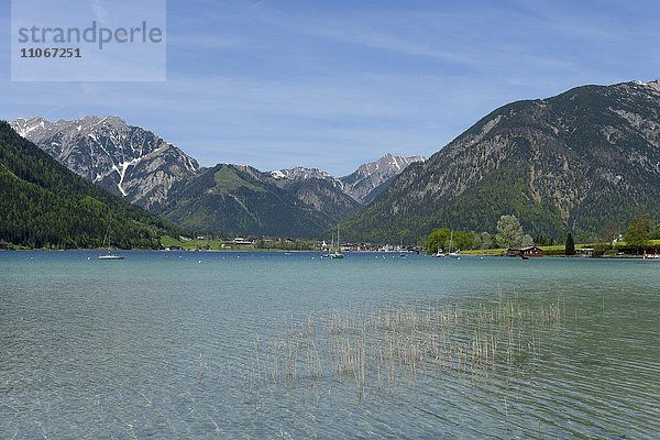 Ausblick über den Achensee nach Pertisau  hinten Karwendelgebirge  Tirol  Österreich  Europa