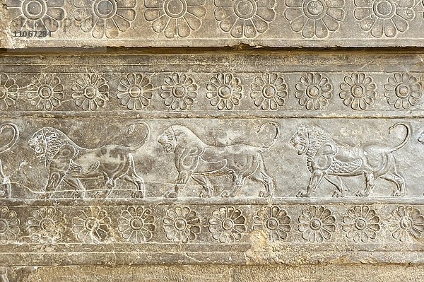 Antikes Relief der Achämeniden  Fries  archäologisches Fundstück aus der altpersischen Residenzstadt Persepolis  Blüten und drei Löwen  Iranisches Nationalmuseum  Teheran  Iran