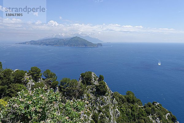 Ausicht vom Park auf die Amalfi Küste  Villa Astarita  Capri  Golf von Neapel  Kampanien  Italien  Europa