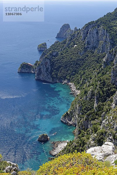 Aussicht vom Park auf Steilküste mit den Felsen Faraglioni  Villa Astarita  Capri  Golf von Neapel  Kampanien  Italien  Europa