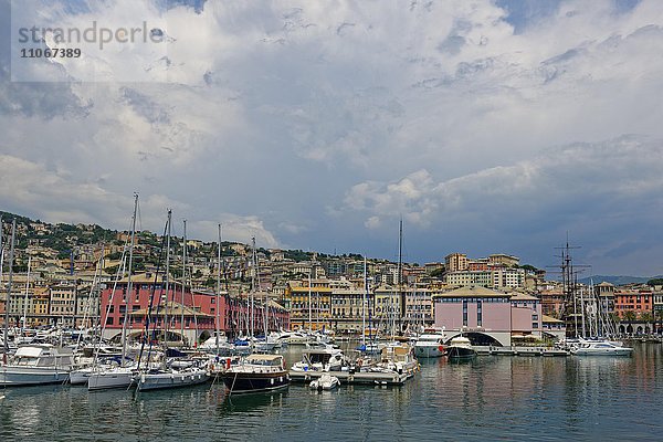 Hafen Marina di Porto Antico  Genua  Ligurien  Italien  Europa