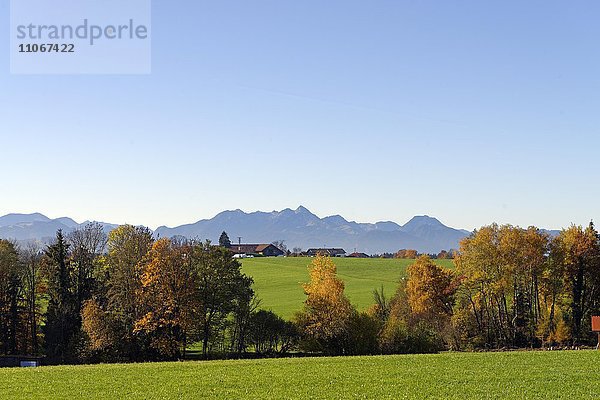 Ausblick von Parnsberg auf Wendelstein und Breitenstein  Riedering  Oberbayern  Bayern  Deutschland  Europa