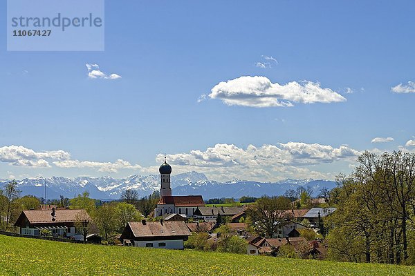 Ort mit Pfarrkirche Mariä Himmelfahrt vor Alpenpanorama  Wettersteingebirge mit Zugspitze  Münsing  Oberbayern  Bayern  Deutschland  Europa