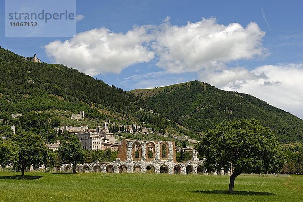 Römisches Theater  Teatro Romano bei Gubbio  Umbrien  Italien  Europa