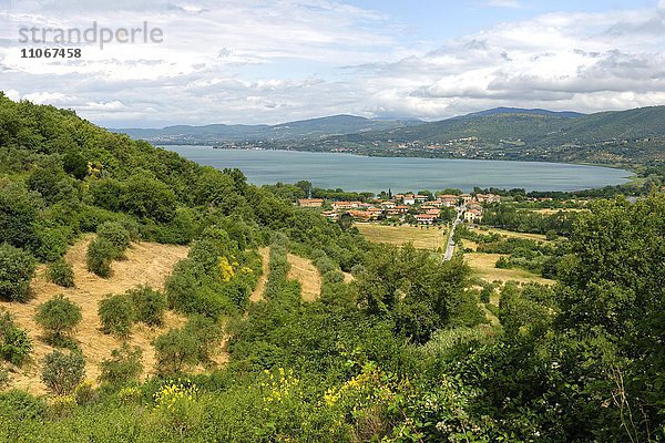 Trasimener See  Lago Trasimeno bei Torricella  Ostufer  Umbrien  Italien  Europa