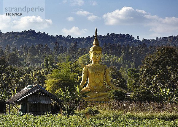 Hügel Regenwald Statue Asien Thailand
