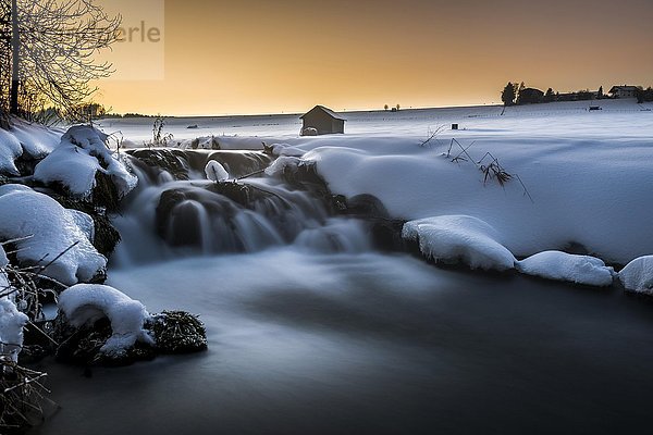 Bach in winterlicher Landschaft bei Sonnenuntergang  Unteregg  Unterallgäu  Bayern  Deutschland  Europa