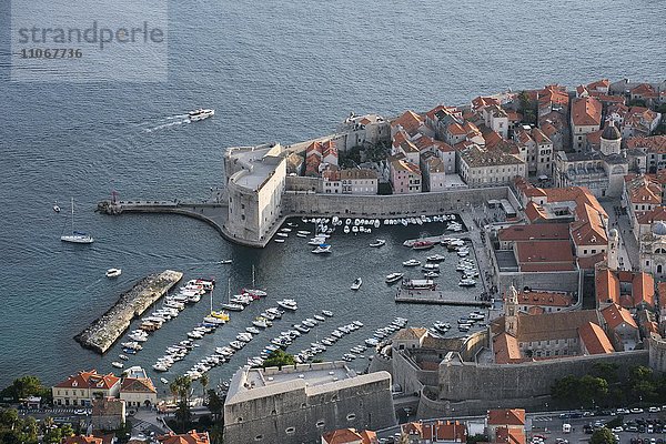 Altstadt mit Hafen  Dubrovnik  Kroatien  Europa