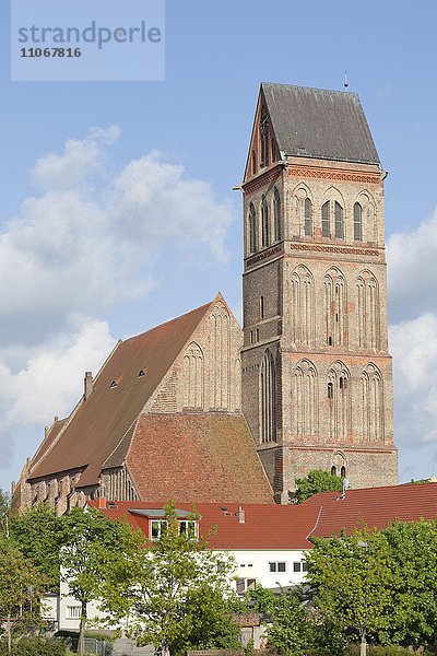 Marienkirche  Anklam  Mecklenburg-Vorpommern  Deutschland  Europa