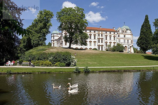 Celler Schloss mit Teich  Celle  Niedersachsen  Deutschland  Europa