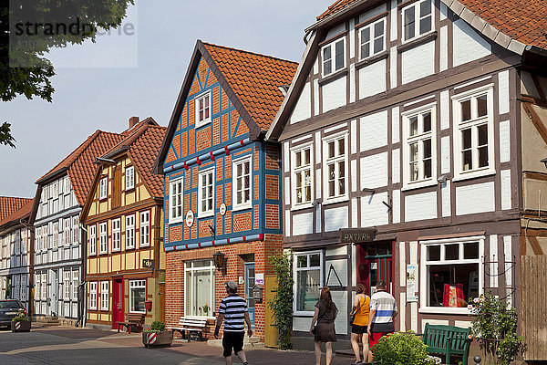 Straße mit Fachwerkhäusern  Hitzacker  Niedersachsen  Deutschland  Europa