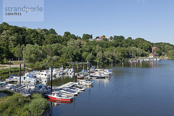 Yachthafen  Lauenburg an der Elbe  Schleswig-Holstein  Deutschland  Europa