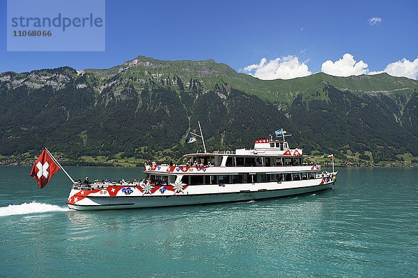 Motorschiff Jungfrau  Brienzersee  Interlaken Ost  Kanton Bern  Schweiz  Europa
