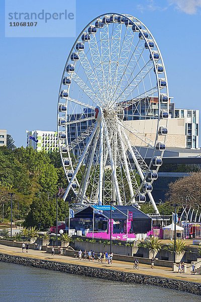 Wheel of Brisbane  Brisbane  Queensland  Australien  Ozeanien