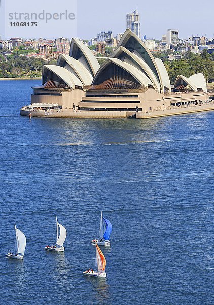 Segelboote vor Sydney Opera House  Opernhaus  Oper  Sydney  New South Wales  Australien  Ozeanien