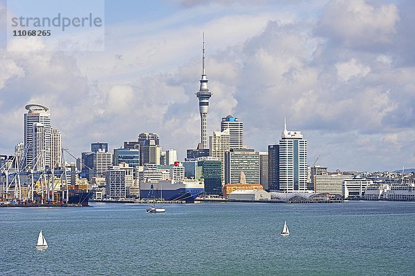 Skyline mit Wolkenkratzern und Sky Tower  Region Auckland  Nordinsel  Neuseeland  Ozeanien