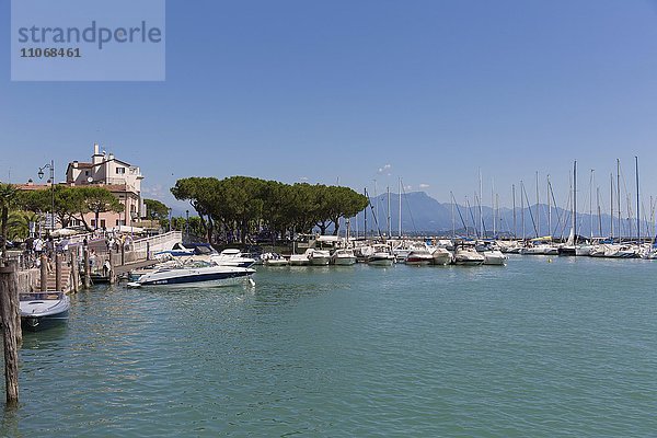 Uferpromenade mit Yachthafen  Desenzano del Garda  Lombardei  Italien  Europa