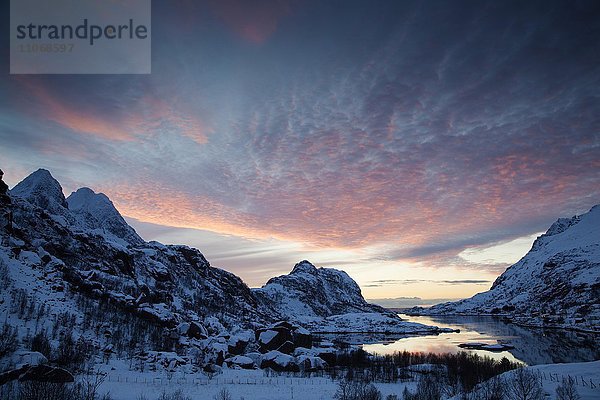 Bucht  Landschaft im Winter mit Abendhimmel  Lofoten  Norwegen  Unstad  Lofoten  Norwegen  Europa