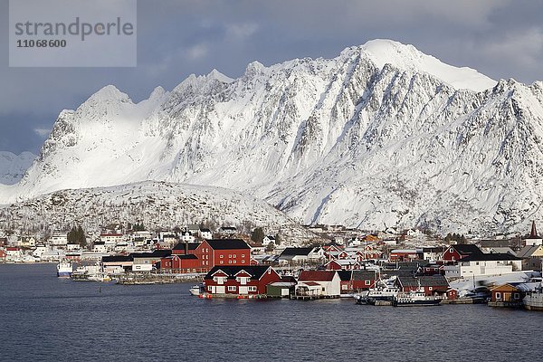 Bucht mit roten Häusern im Winter  Reine  Lofoten  Norwegen  Reine  Lofoten  Norwegen  Europa