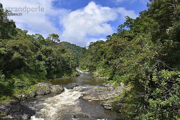 Fluss fliest durch Regenwald  Ranomafana Nationalpark  südliches Hochland  Madagaskar  Afrika