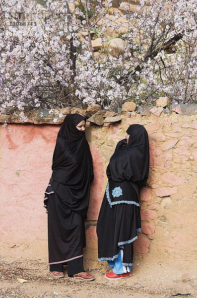Berberfrauen unterhalten sich vor einer Wand mit blühenden Mandelbäumen (Prunus dulcis) dahinter  Dorf Adai im Tal der Ammeln  Antiatlas Gebirge  Marokko  Afrika