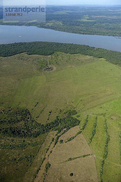 Luftbild  großflächige Rodung zur Gewinnung von Viehweiden  Amazonas-Regenwald am Rio Tapajos  District Itaituba  Bundesstaat Para  Brasilien  Südamerika