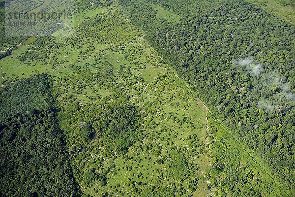 Luftbild  großflächige Rodung für die Gewinnung von Viehweiden  Amazonas-Regenwald  District Itaituba  Bundesstaat Para  Brasilien  Südamerika